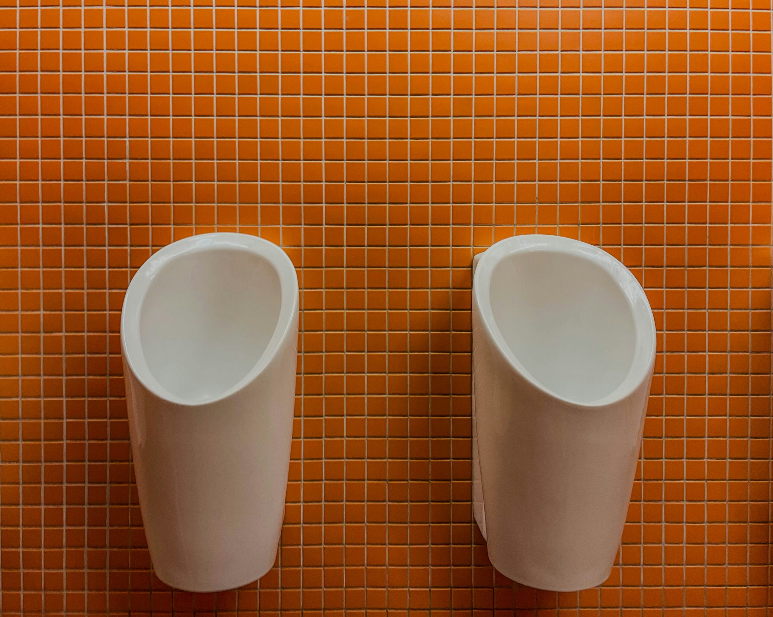 Illustration of projected toilet installation cost in 2026